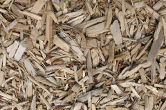 biomass boilers Shiphay